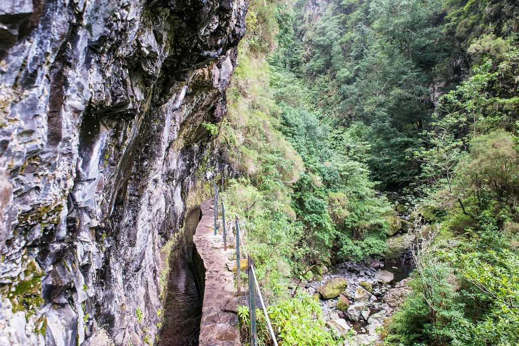 Madeira (28)