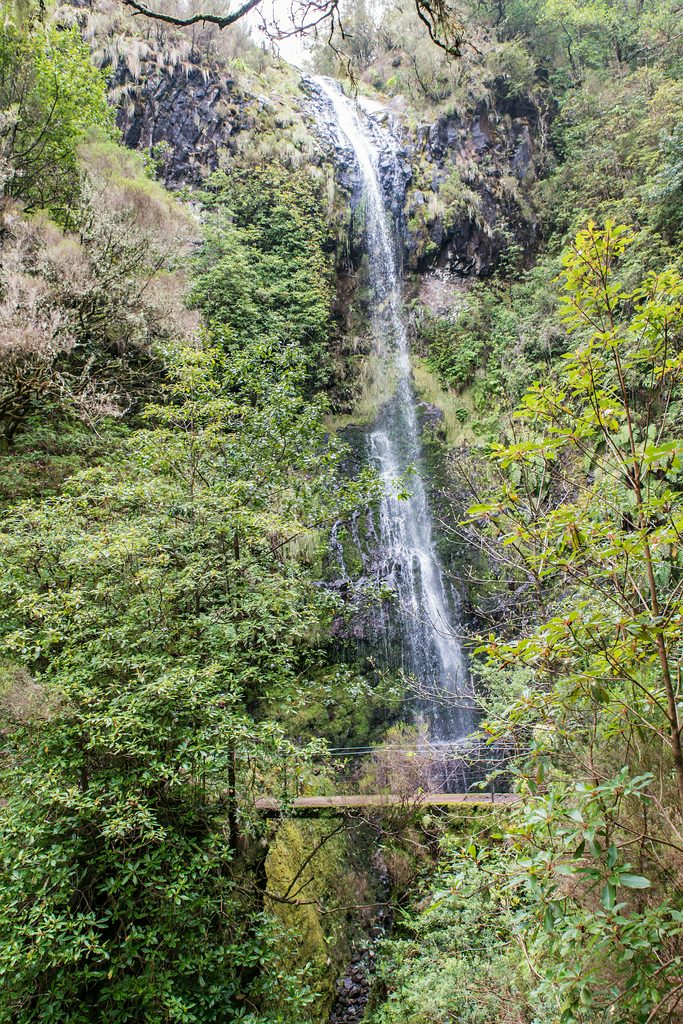 Madeira (31)