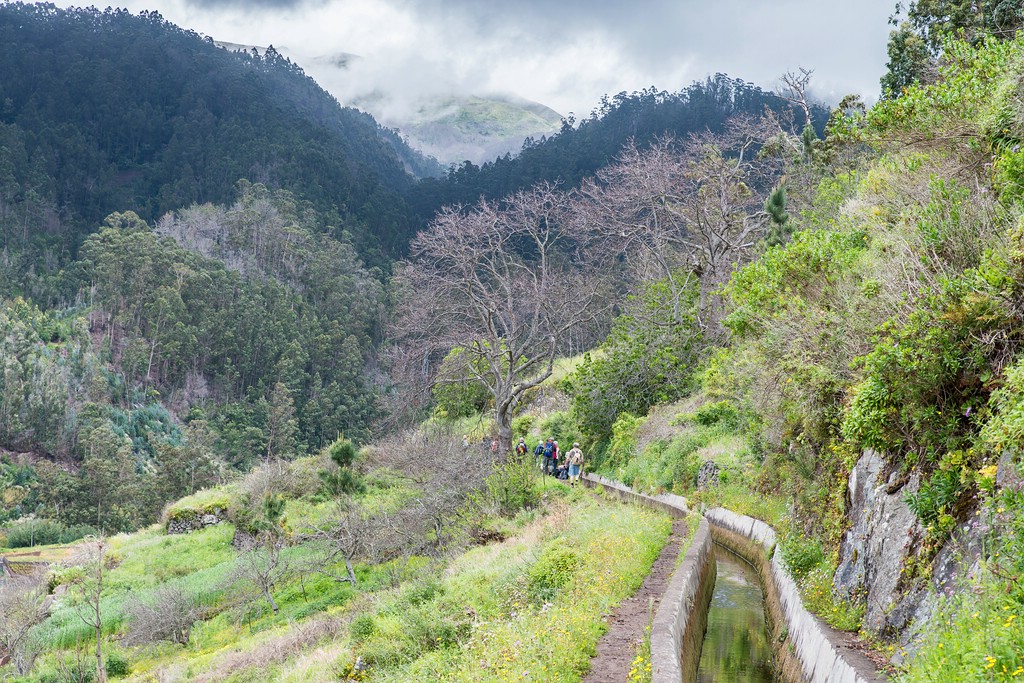 Madeira (37)