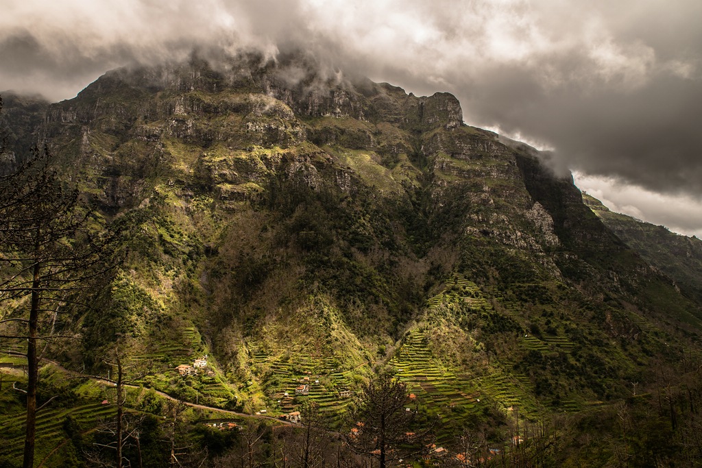 Madeira (41)