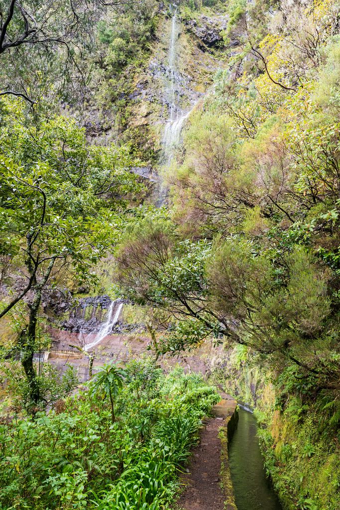 Madeira (44)