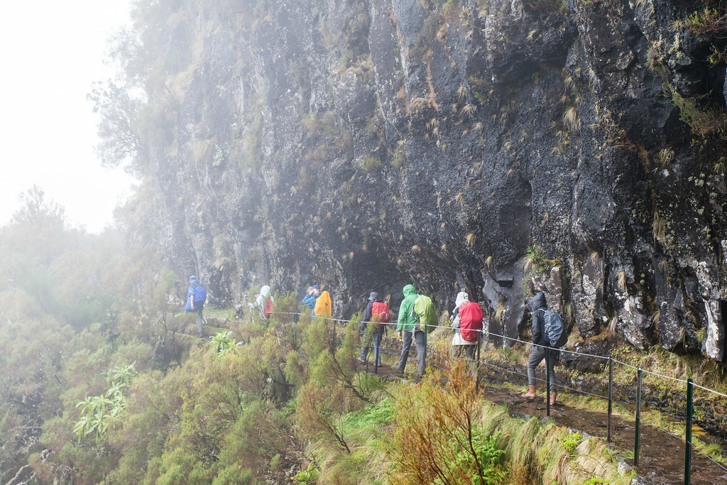 Madeira (48)