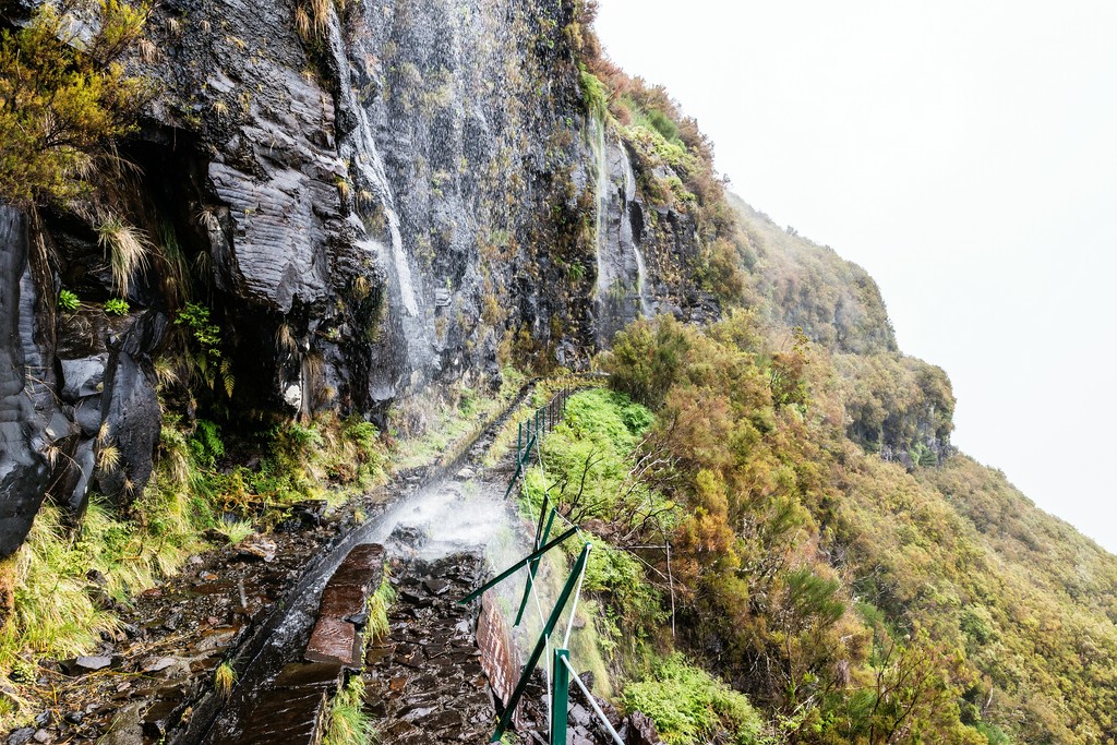 Madeira (49)