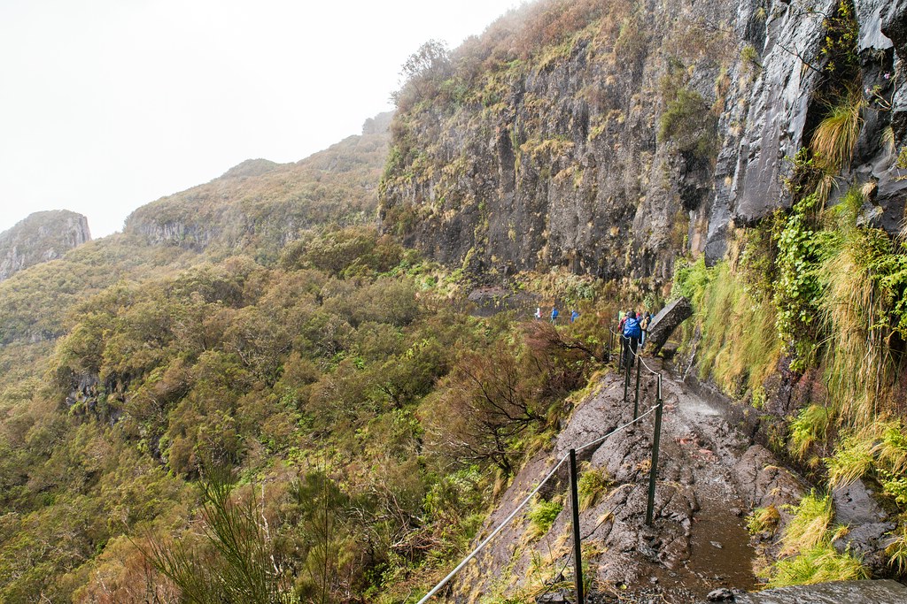 Madeira (50)