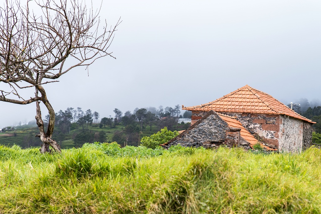 Madeira (54)