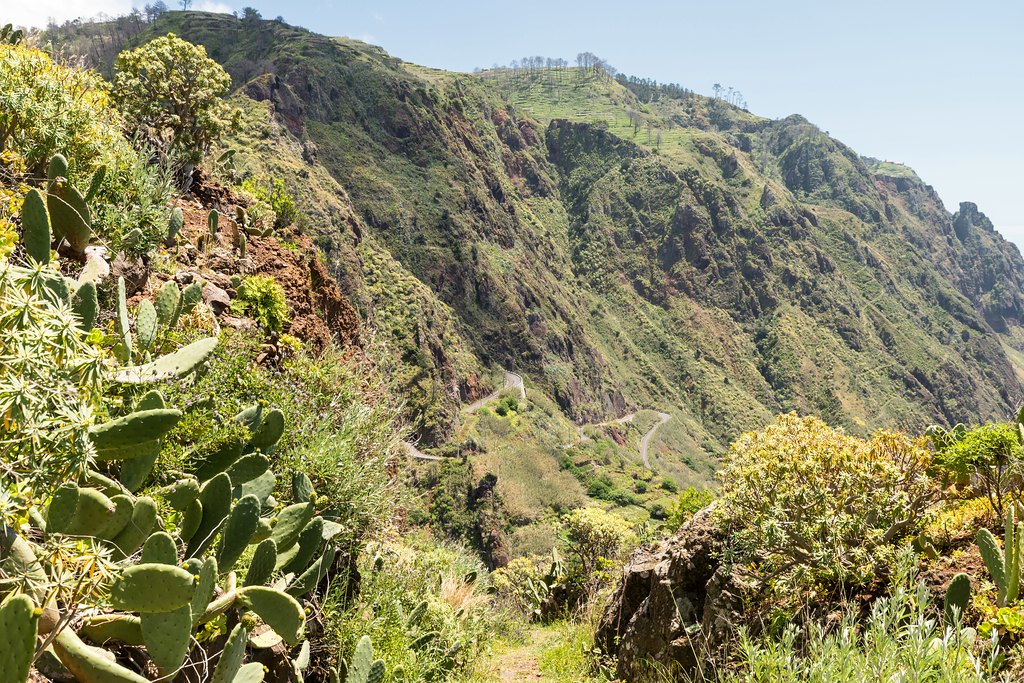 Madeira (59)