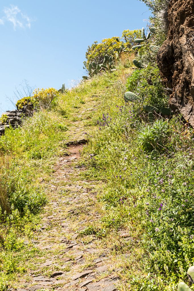 Madeira (61)