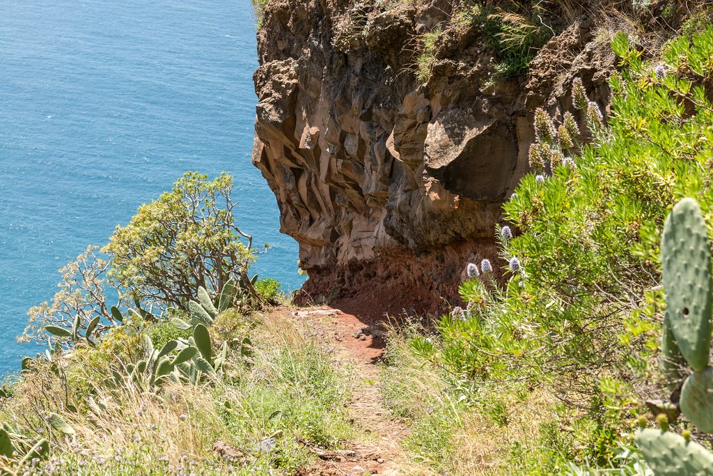 Madeira (62)