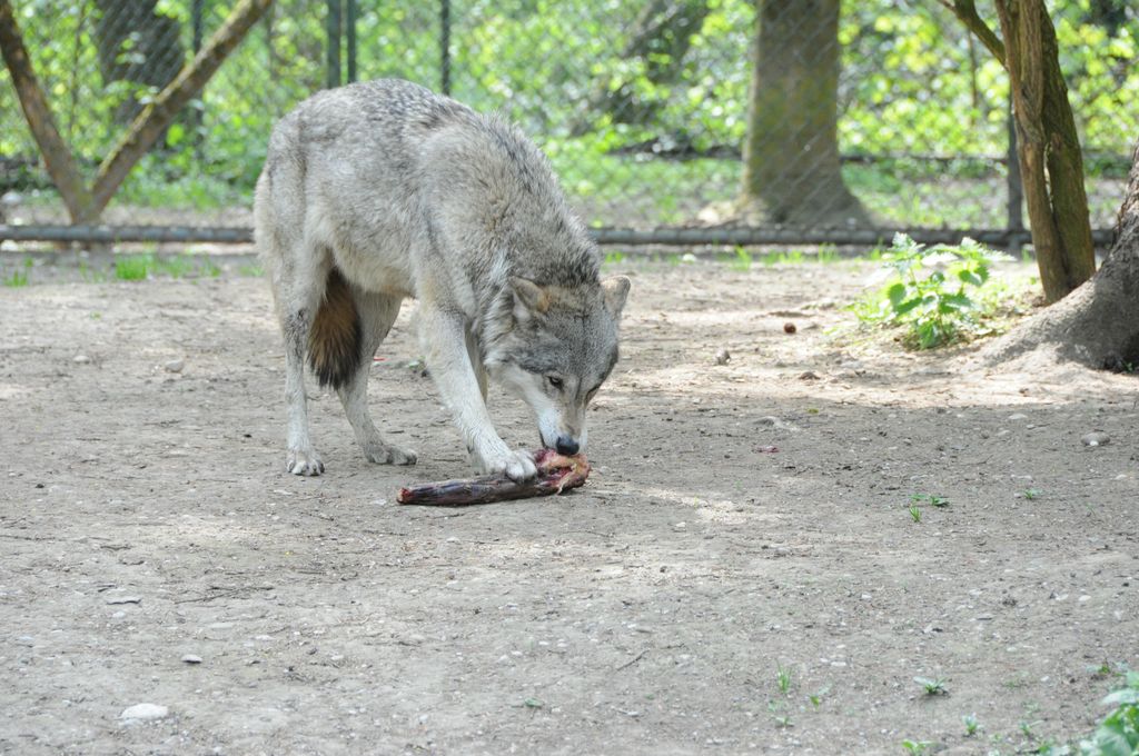 Mahlzeit!