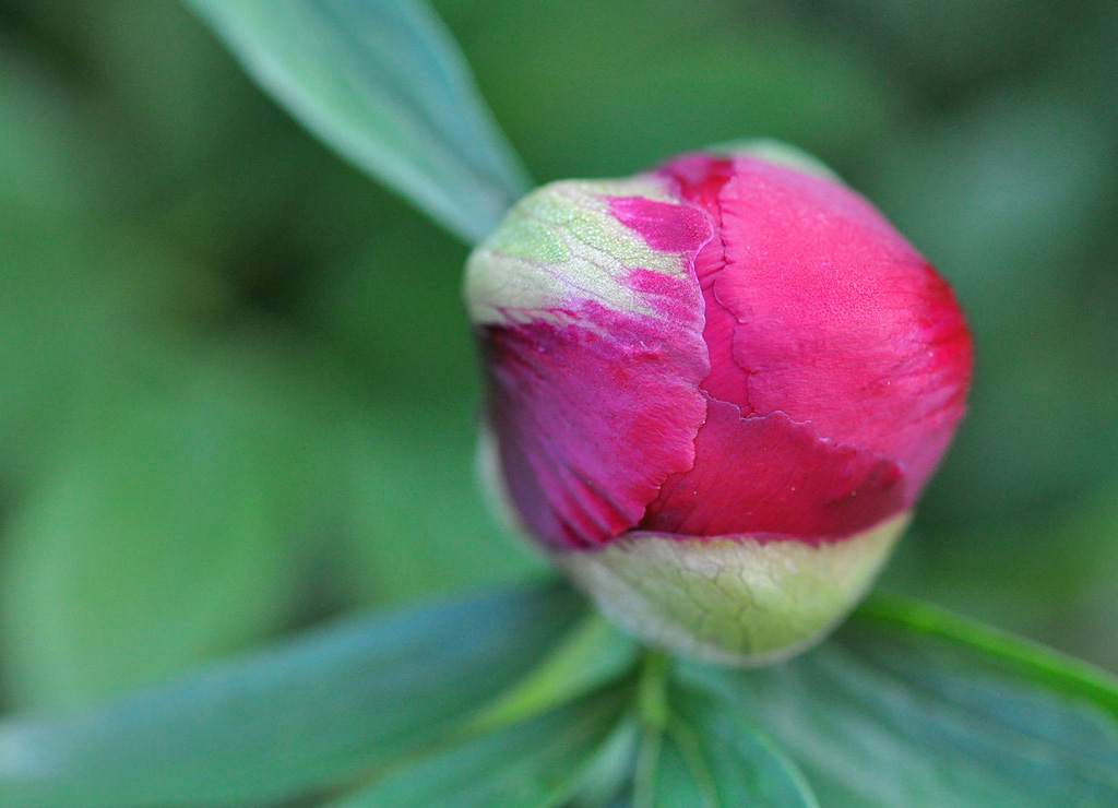 maimorgen 0051
