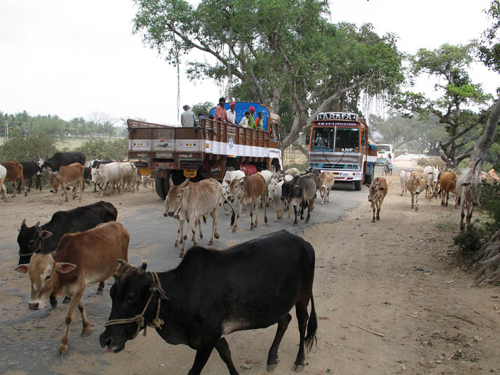 Mainroad in Karnataka