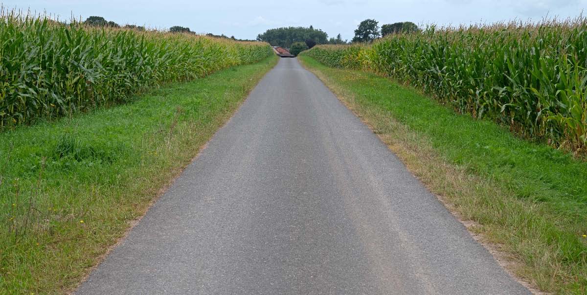 Maisallee.jpg