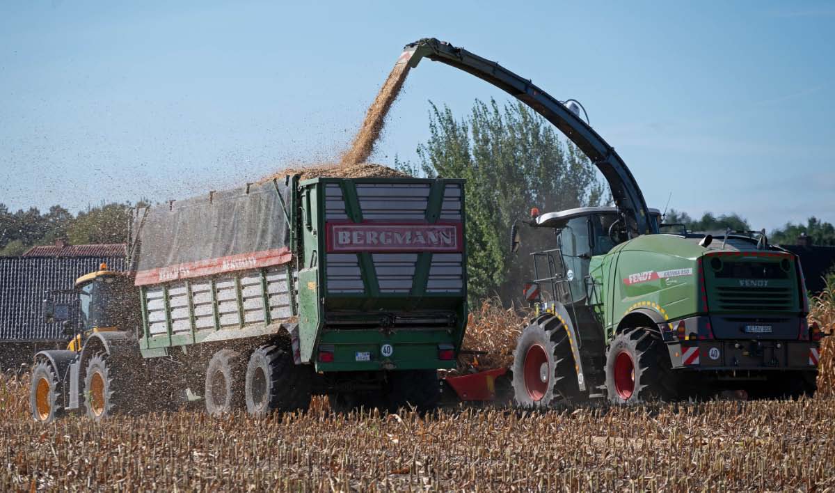 Maisernte 5.jpg