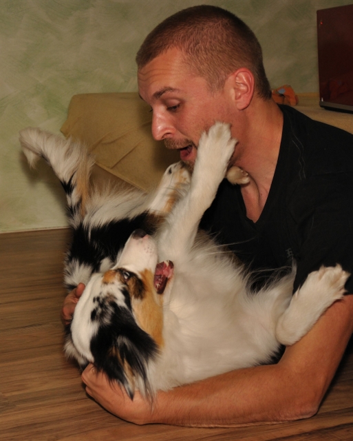 ...making of hundefotos