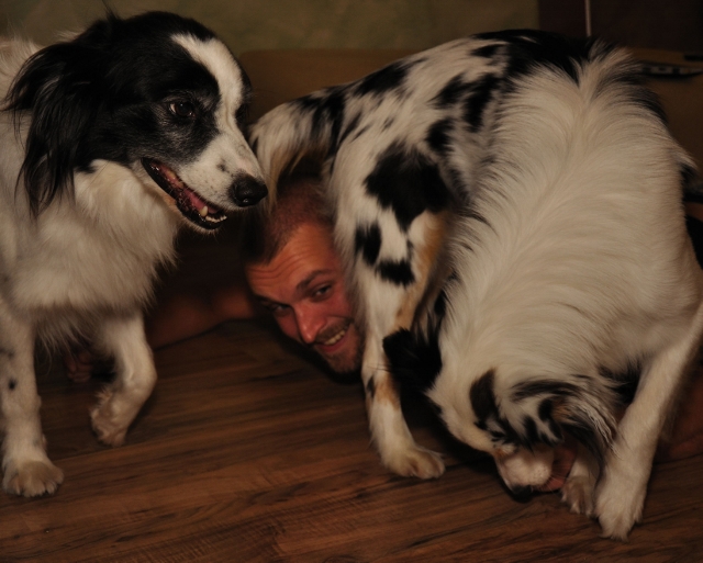 ...making of hundefotos