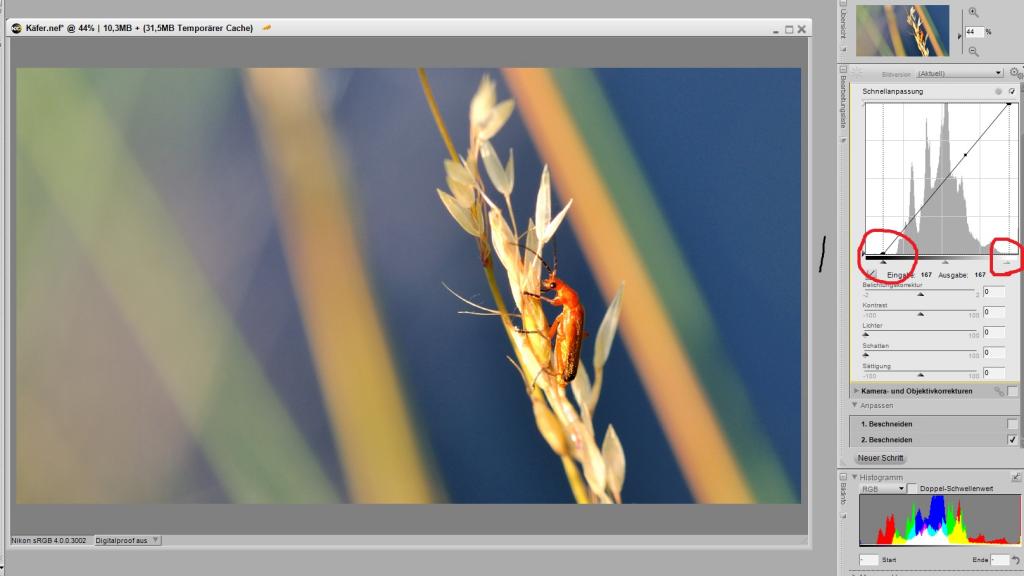 Making of