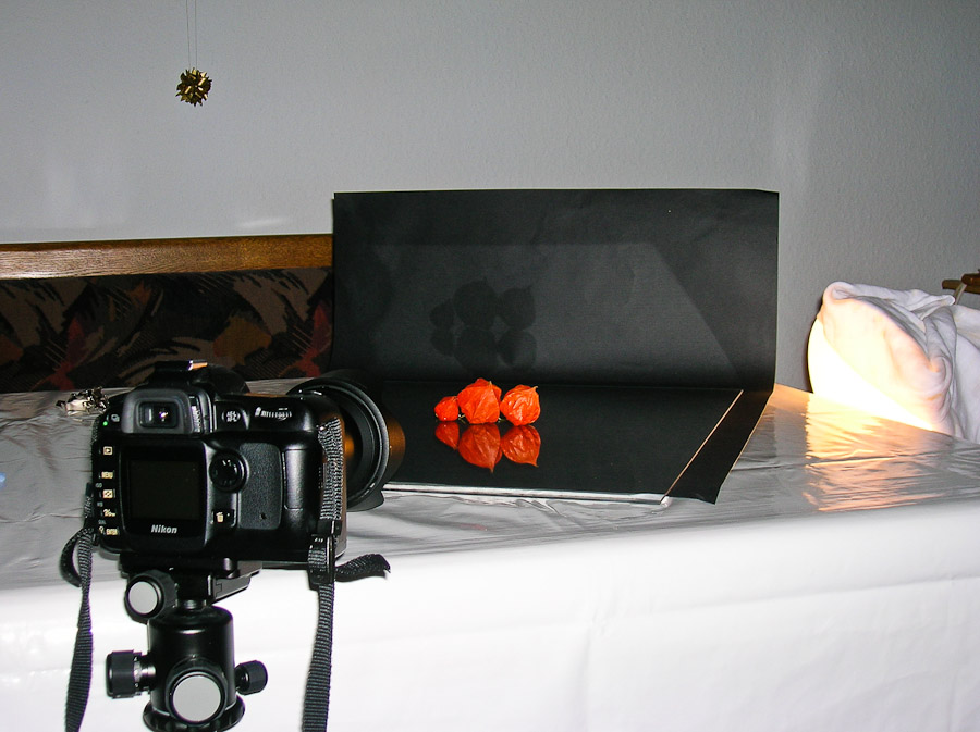 Making Off für das Lampion-Blüten-Foto