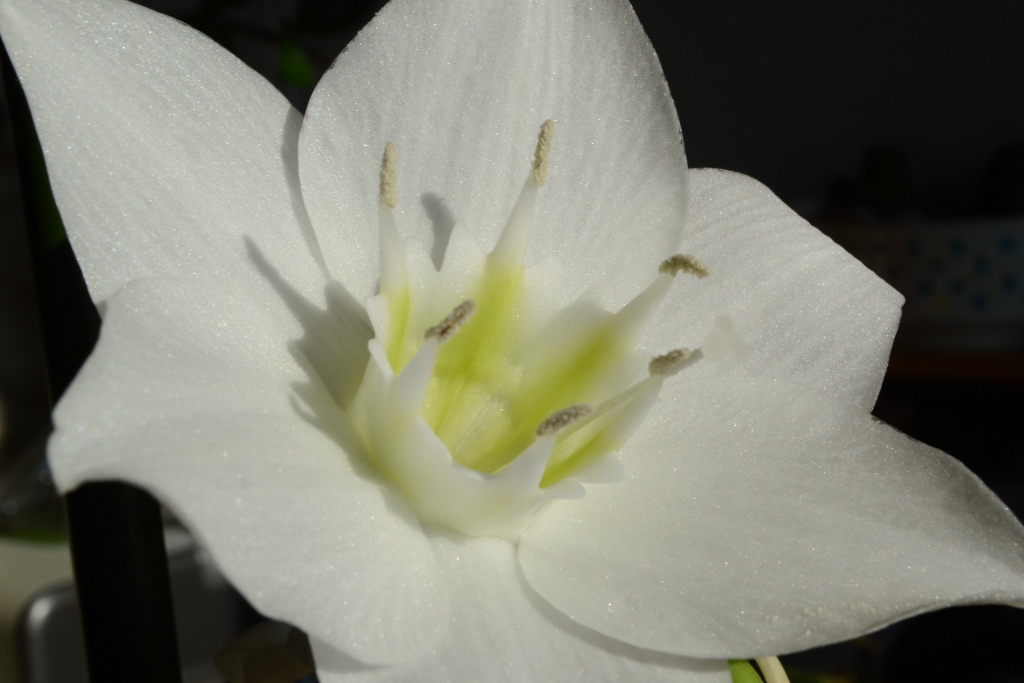 makro 02