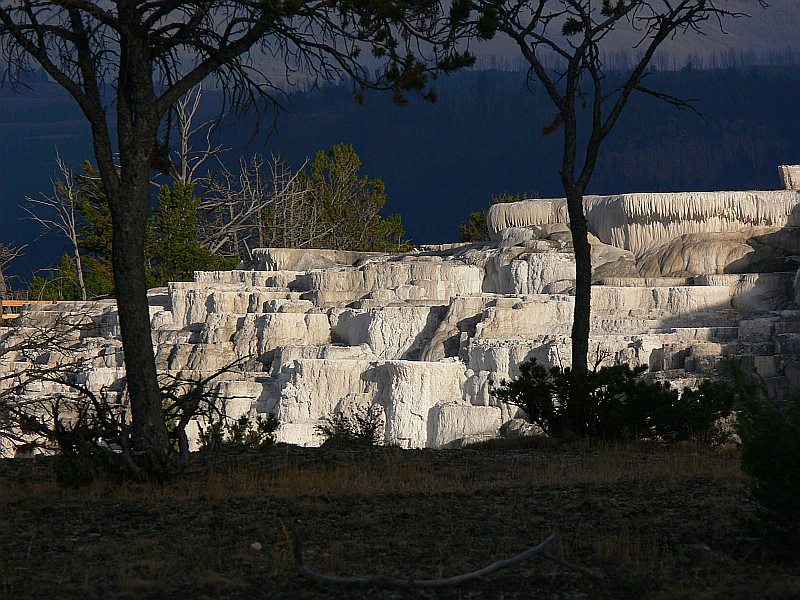 Mammoth Hot Springs - Yellowstone NP (USA)
