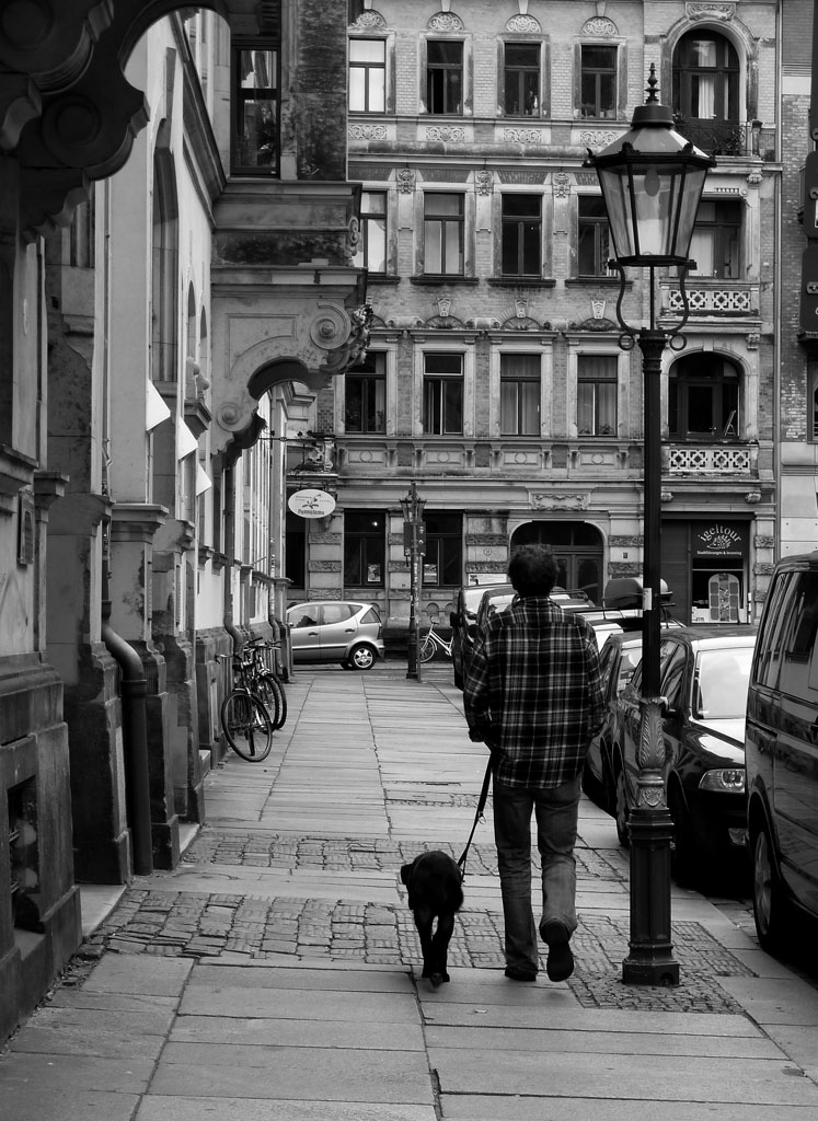 Man and Dog
