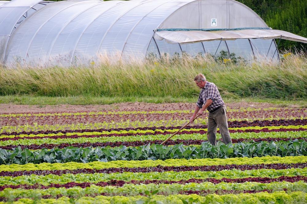 Man at Work