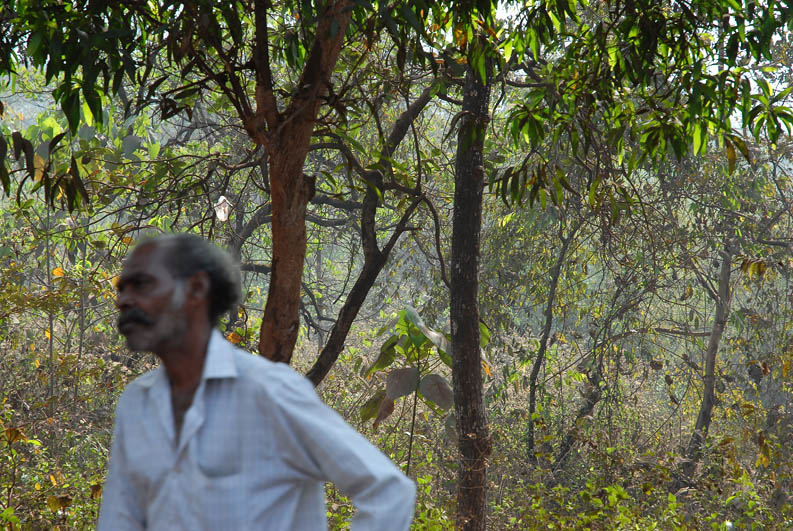 Man in the jungle (Goa)