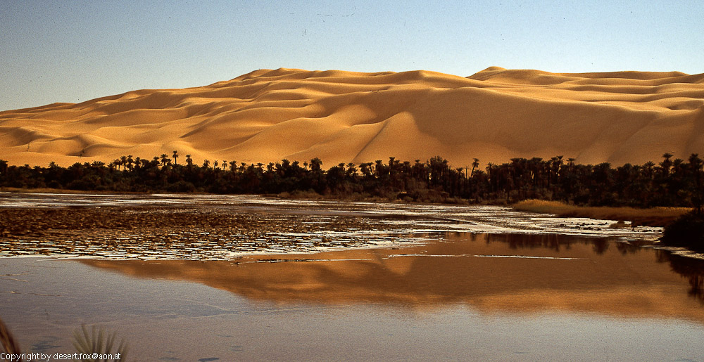 Mandarasee