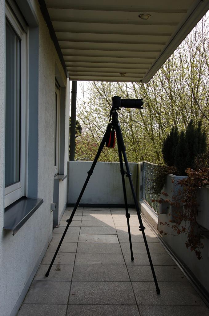 Manfrotto 055XPRPB mit Stefan Lenz Umbau und MF 488 RC4