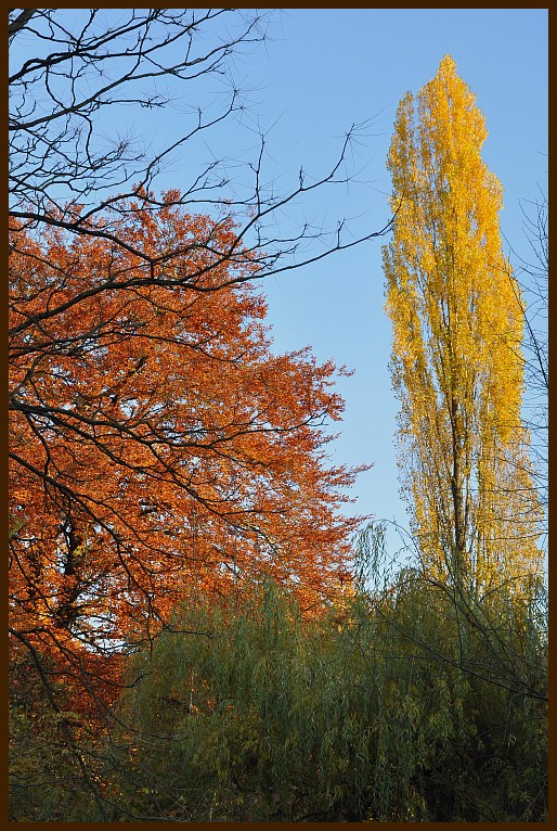 Marburg ABG 2010 DSD 2038 1