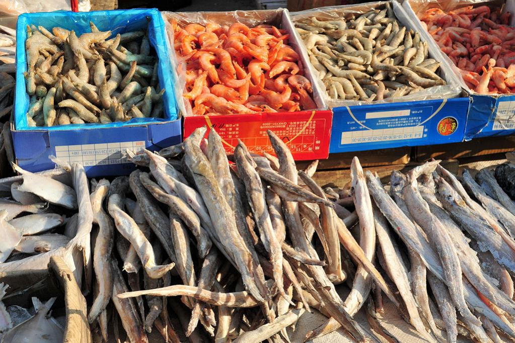 Markt in Huanan
bei -20°C braucht es keine Tiefkühltruhe
(9802)