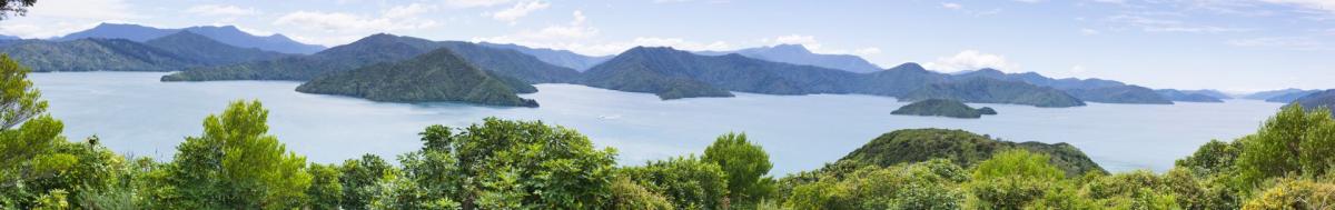 Marlborough Sounds NZ