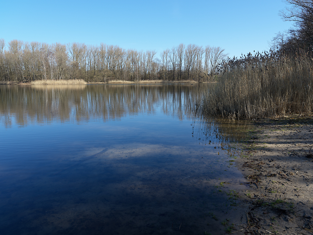 Marschsee.jpg