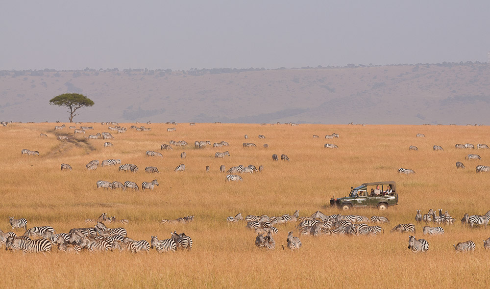 Masai Mara 7357