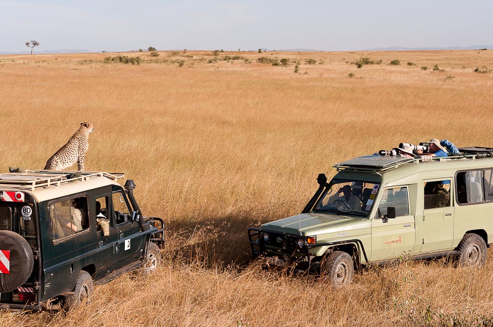 Masai Mara 7620