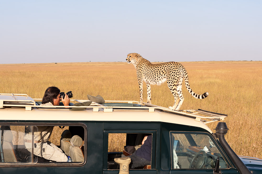 Masai Mara 7707