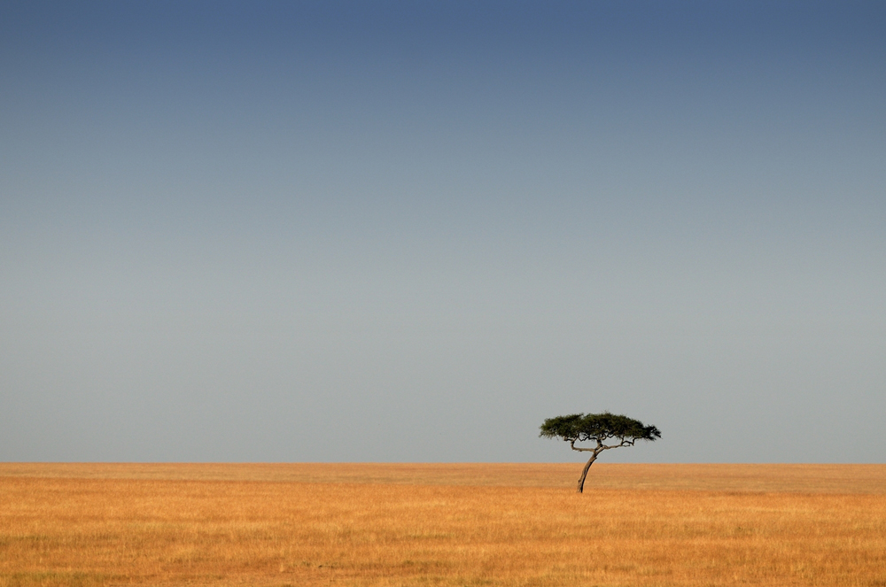 Masai Mara