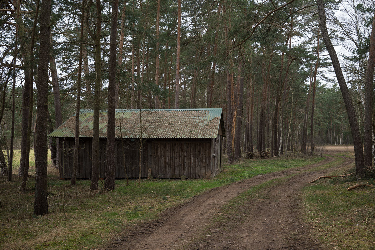 Maschinenschuppen im Wald (1 von 1).jpg