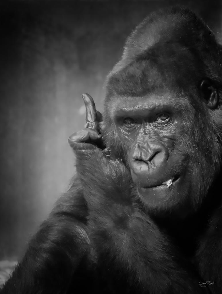 Massa.sw Zoo Krefeld
