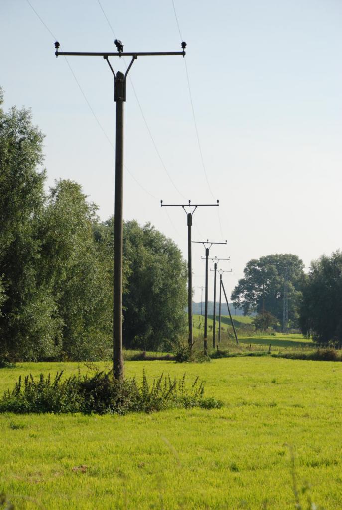 Masten in reih und glied