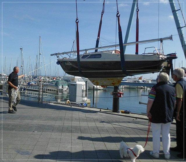 Mathilde an der Leine 2