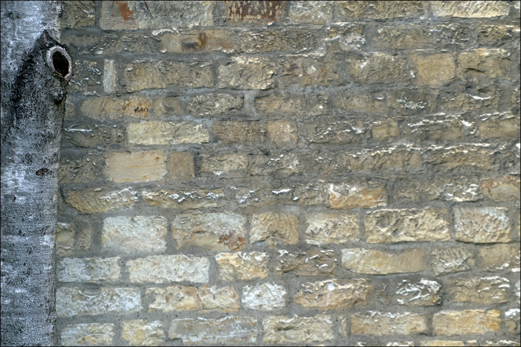 MauerDSC 2296