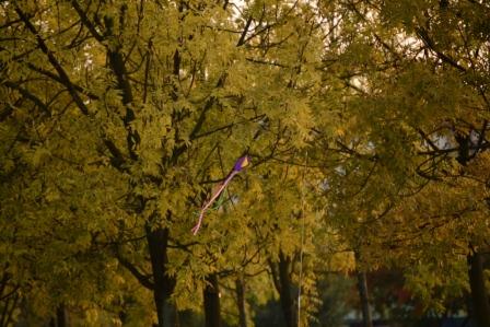 Mauerpark 2012
