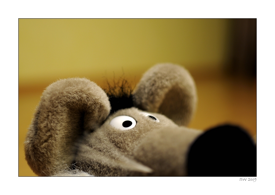 MAUS!
(AF-S DX NIKKOR 35 mm 1:1,8G, Offenblende - mausgezeichnet)