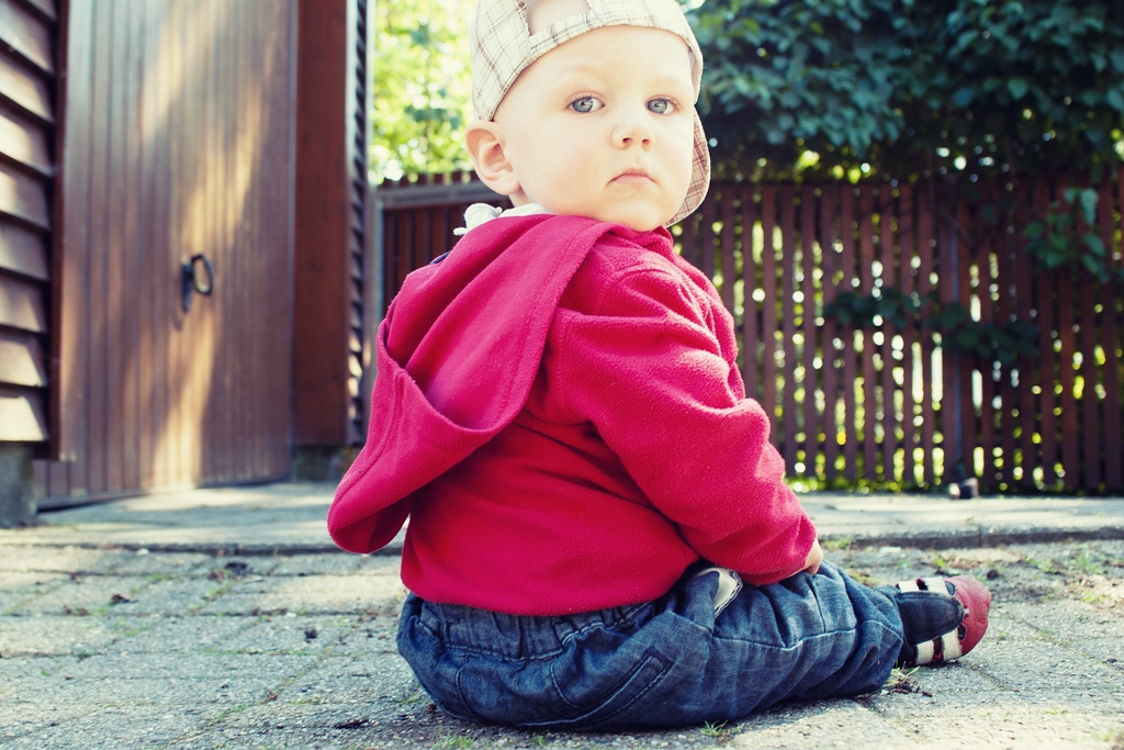 Maxi DSC 6374