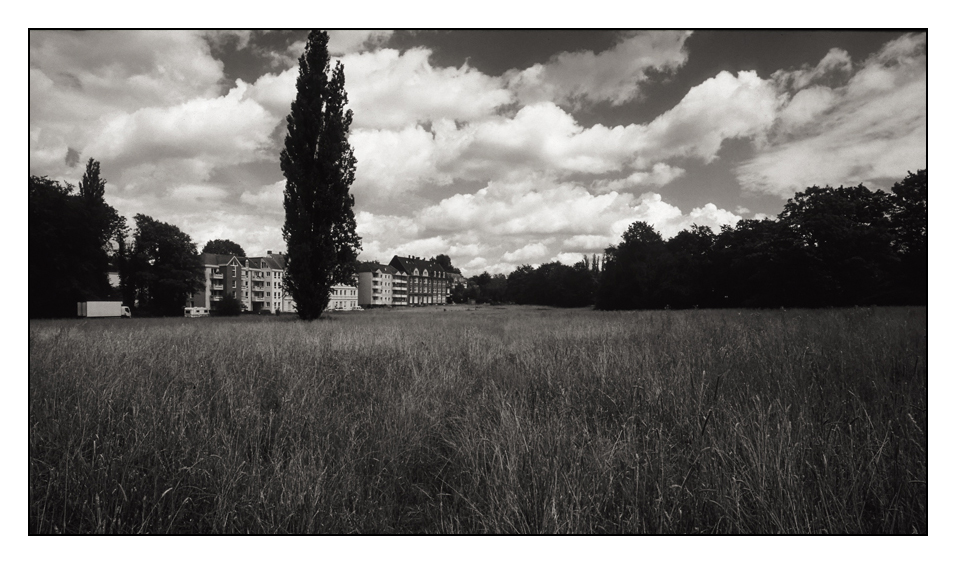 Mechtenberg2