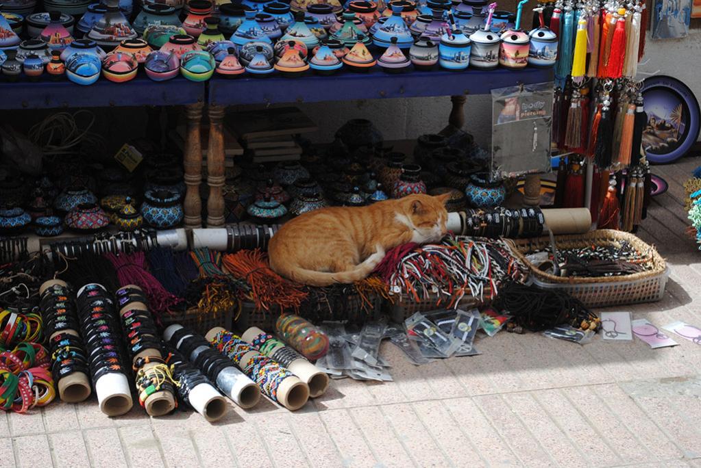 Medina of Essaouira