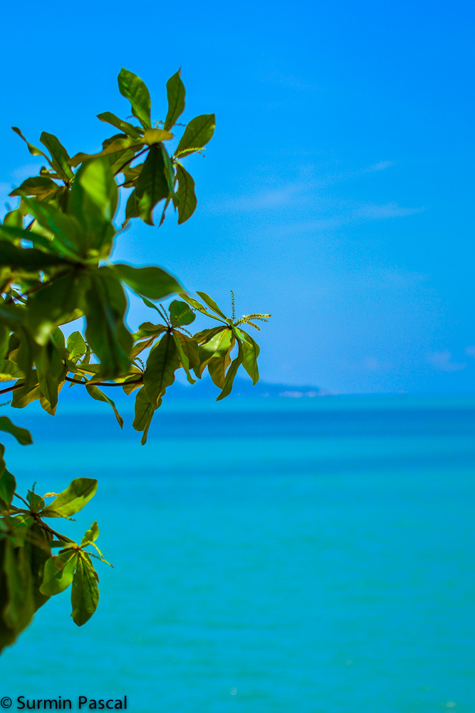 Meer
