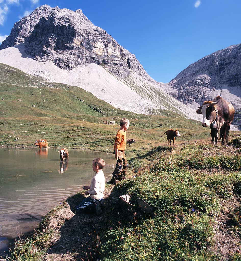 Meine Jungs am Rappensee