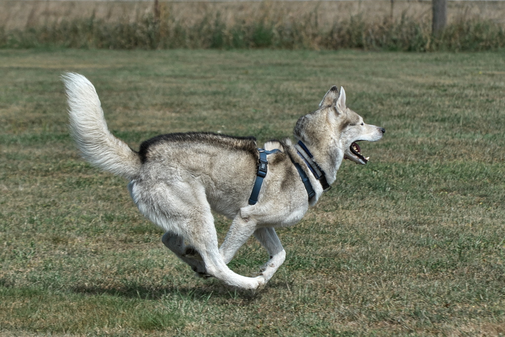 Melle 08_2022-046.jpg