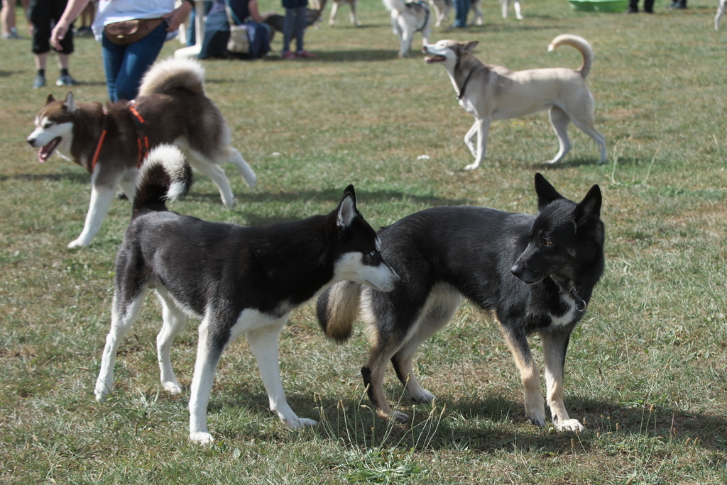 Melle 08_2022-071.jpg